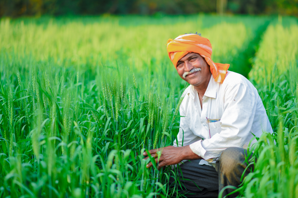 Agriculture Services